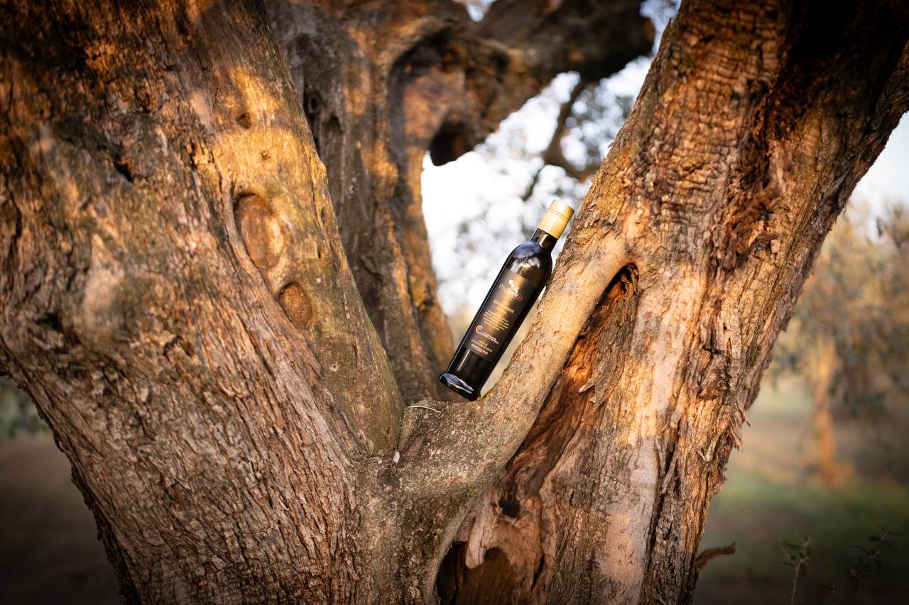 OLIO EXTRAVERGINE DI OLIVA IN BOTTIGLIA DI VETRO DA 750ML